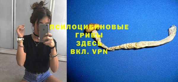 дурь Алзамай
