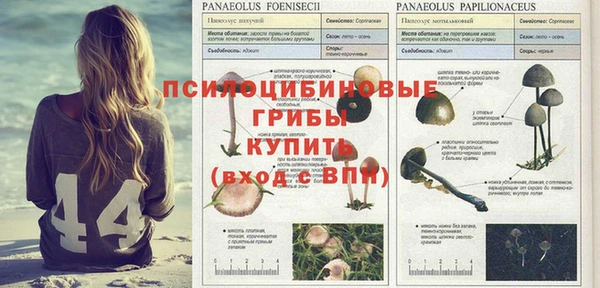 прущие крисы Алексин
