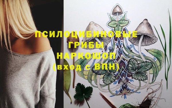 2c-b Алексеевка
